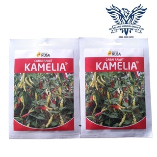 Benih Bibit Cabai Rawit Putih Kamelia 10gr Cap Rusa