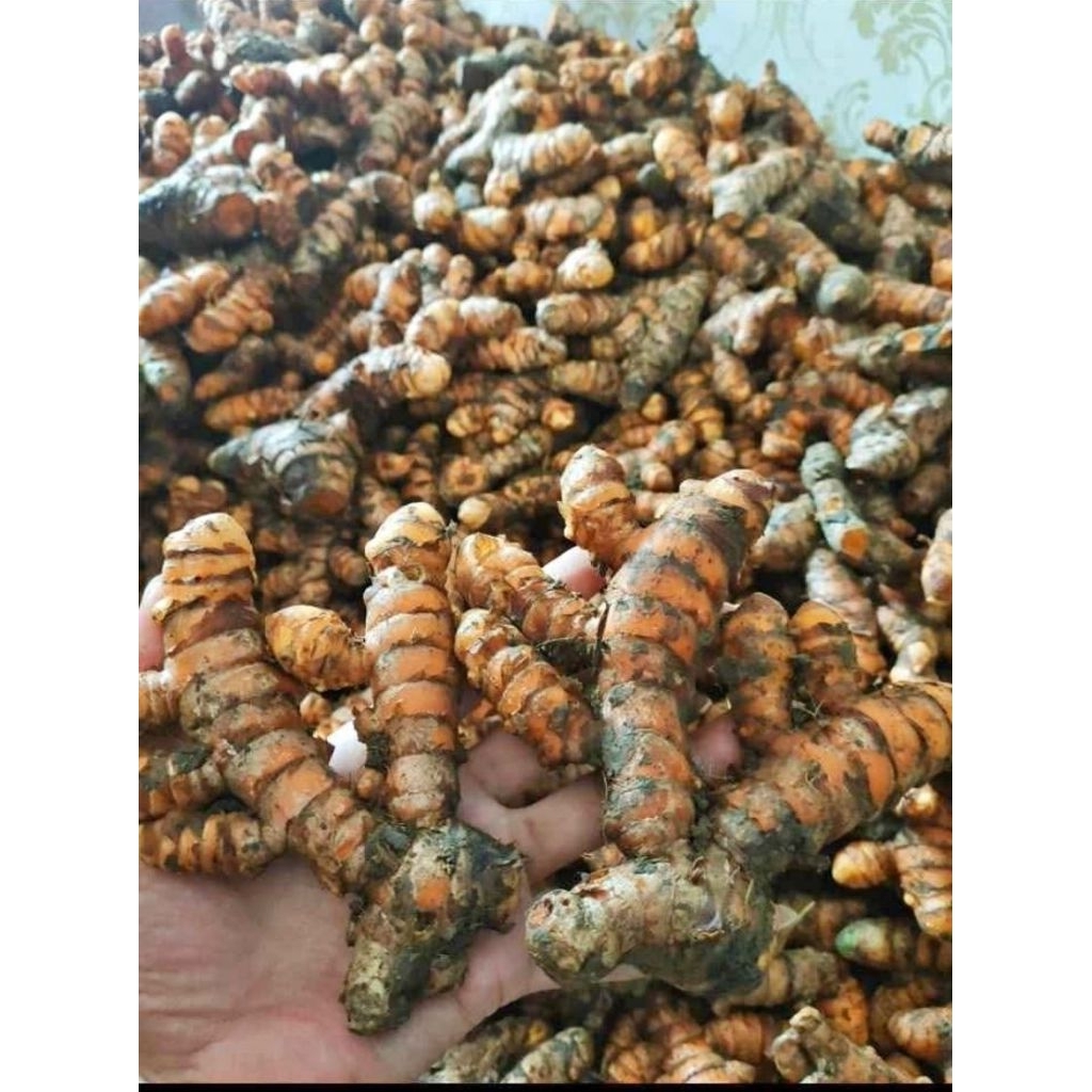 

kunyit baru panen 1000g baru panen jamin segar