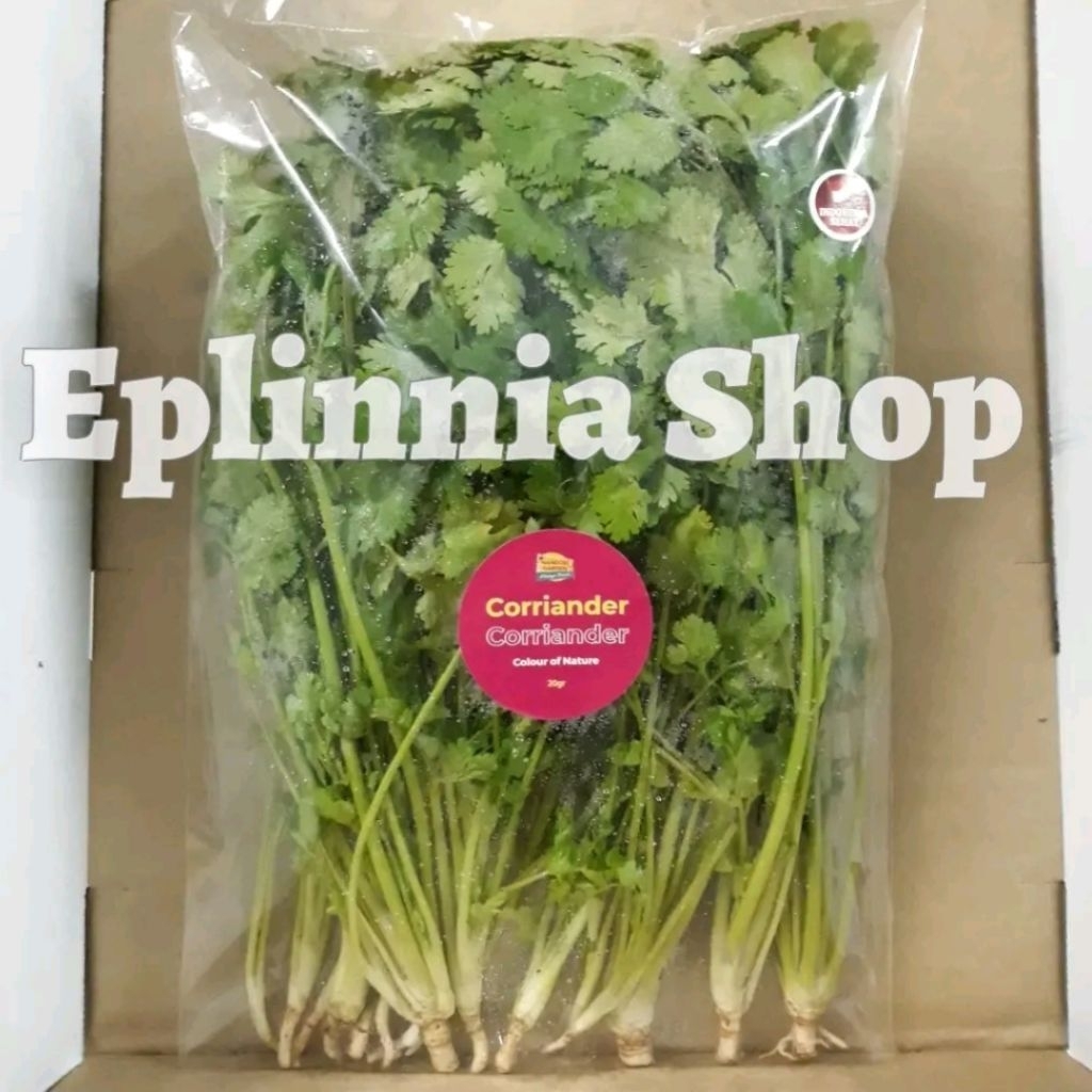 

Daun Wansui Fresh 250 gr - Daun Wansuy Daun Ketumbar