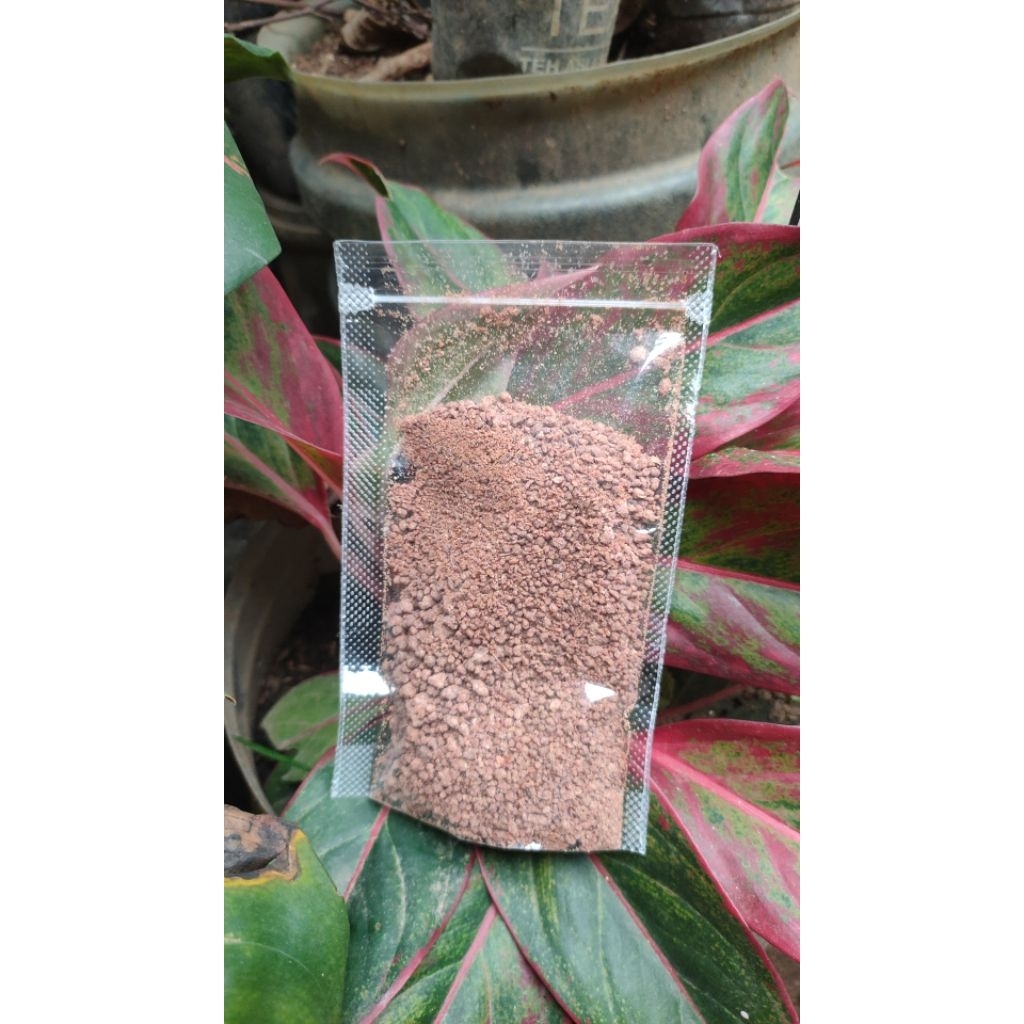 

terasi bubuk umma anis