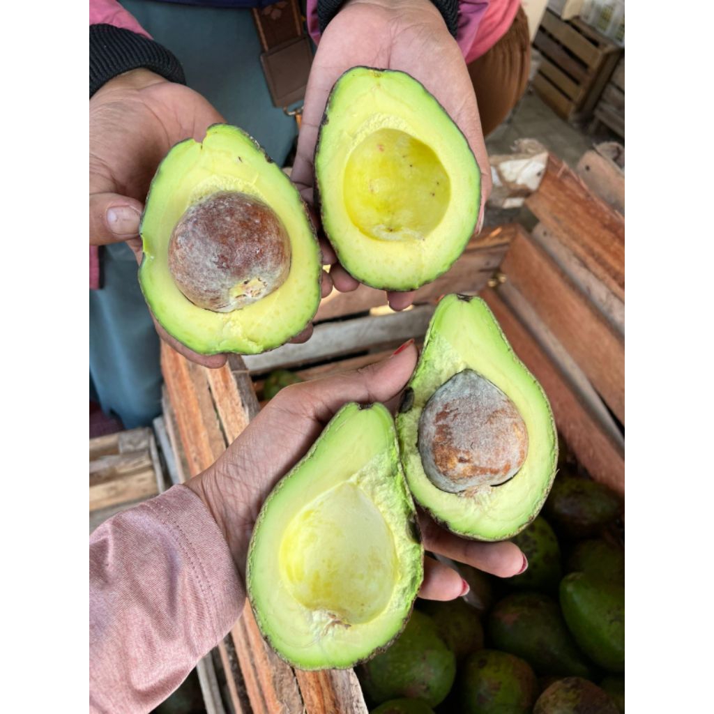 

alpukat mentega 1kg isi 4-5 buah