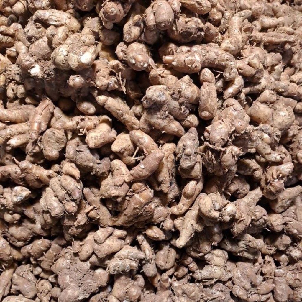 

Cikur Kencur 1/2 ons Bandung