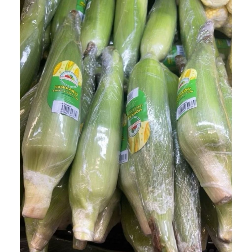 

Jagung Hokaido Manis Bisa Di Makan Mentah 1 Pcs