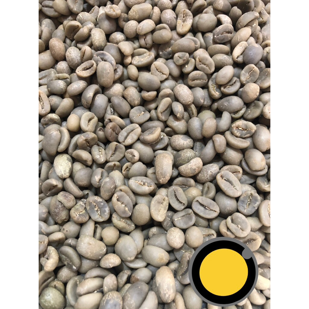 

Arabika Luwak Liar Gayo