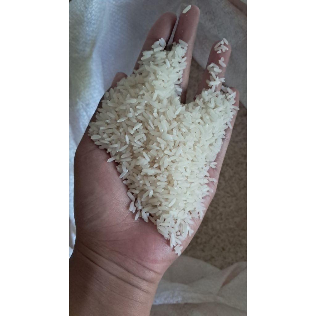 

BERAS | BERAS BRAMO | BERAS PULEN