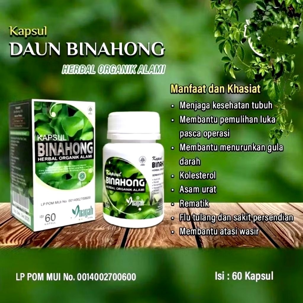 KAPSUL DAUN BINAHONG ASLI