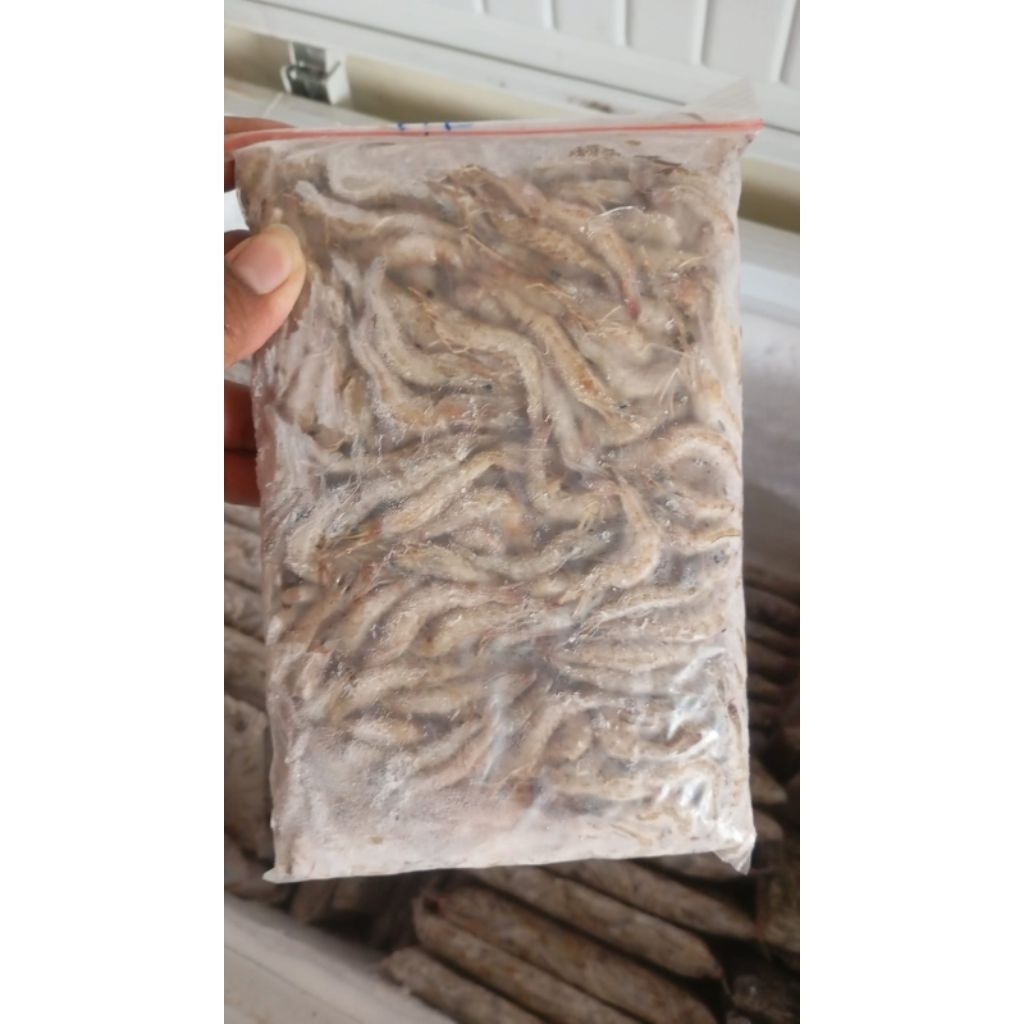 

Udang api beku size sedang 500 gr