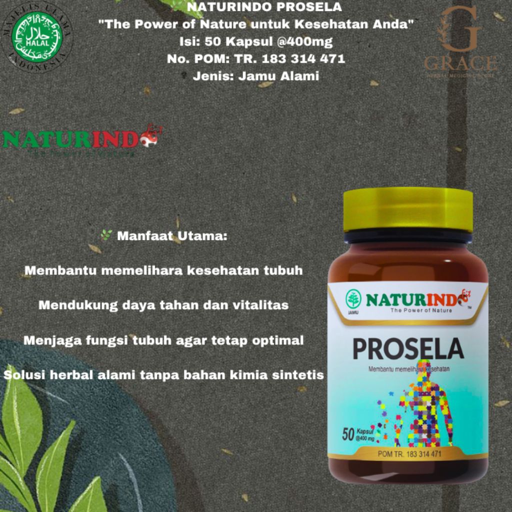 OBAT HERBAL PROSELA