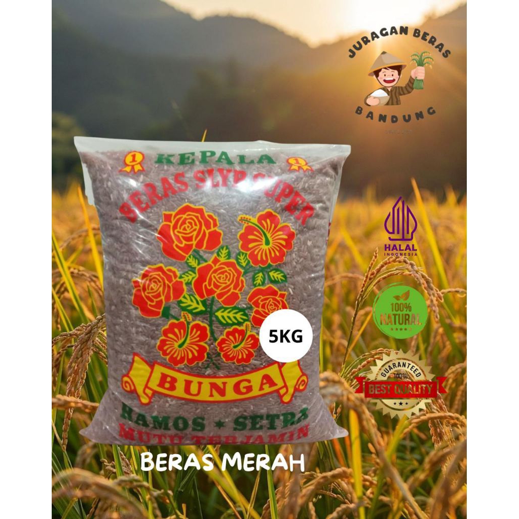 

Beras Merah Sosoh 5 Kg