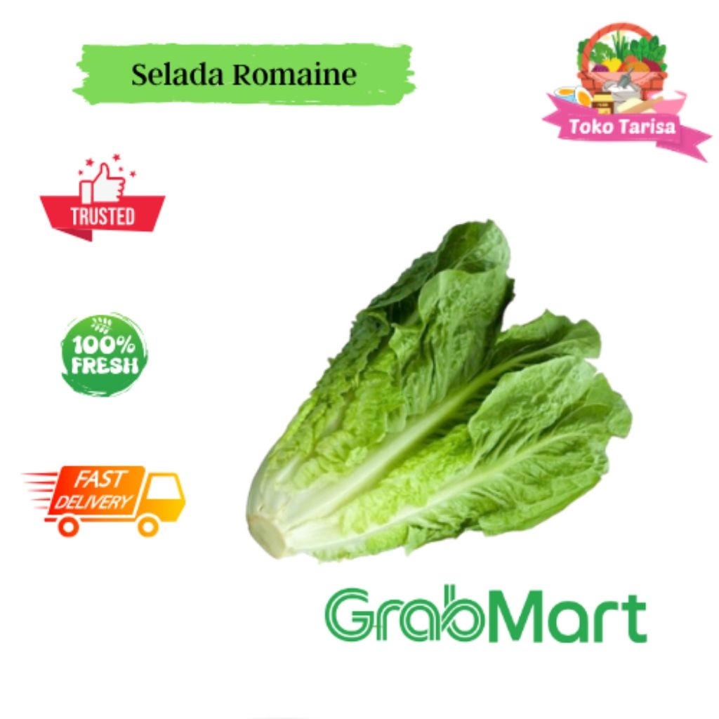 

Selada Romaine 1kg| 500gr| 250gr