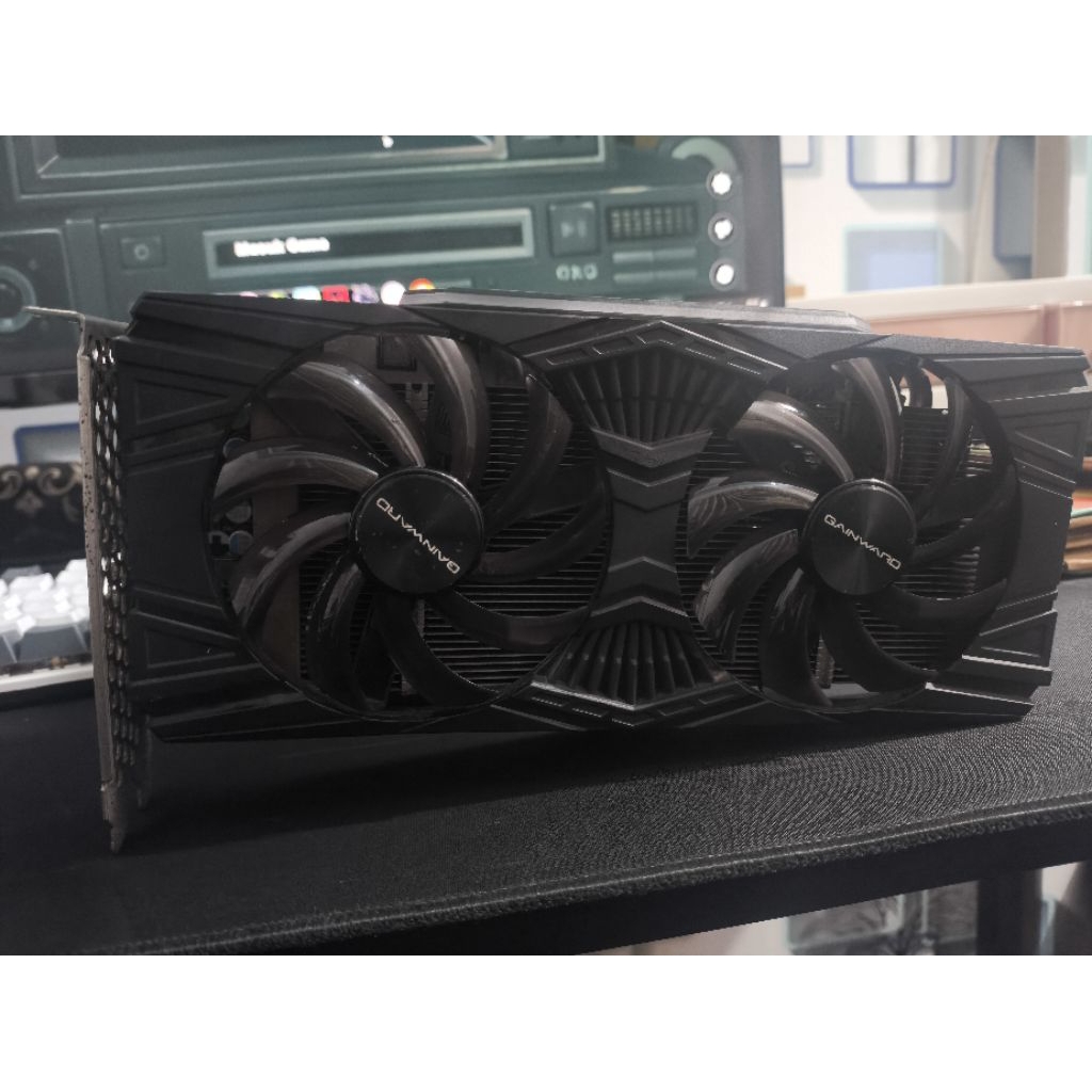 VGA GAINWARD RTX 2060 NO DISPLAY