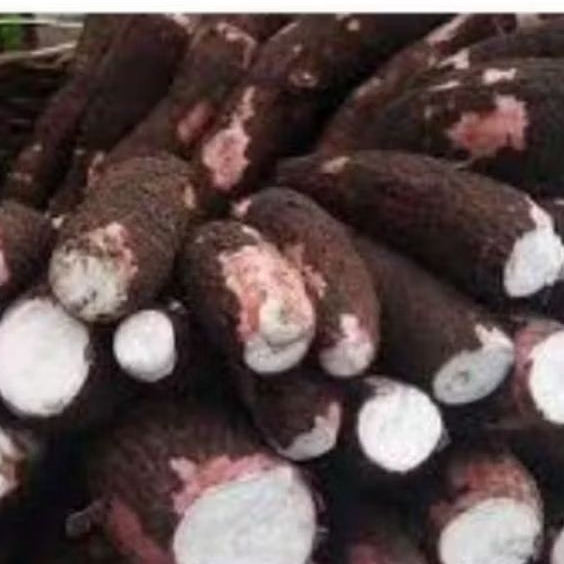 

singkong mentah kulit merah empuk 1 kg