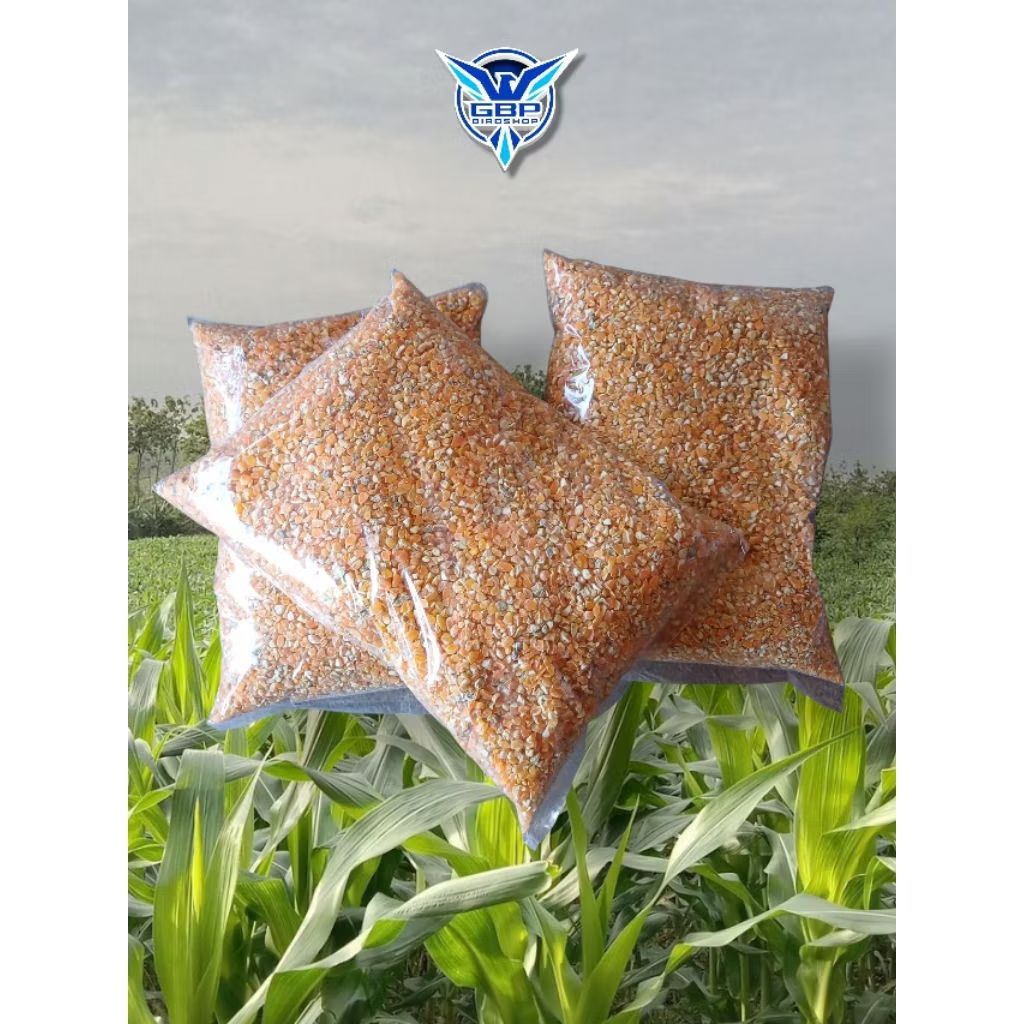 

Beras Jagung 1kg Kualitas Tinggi