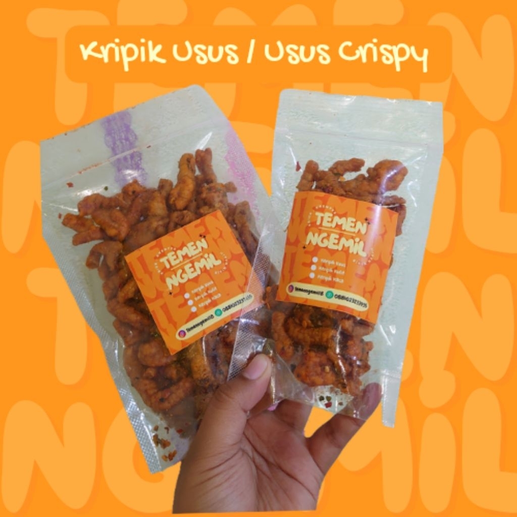 

Temen Ngemil - Kripik Usus / Usus Crispy