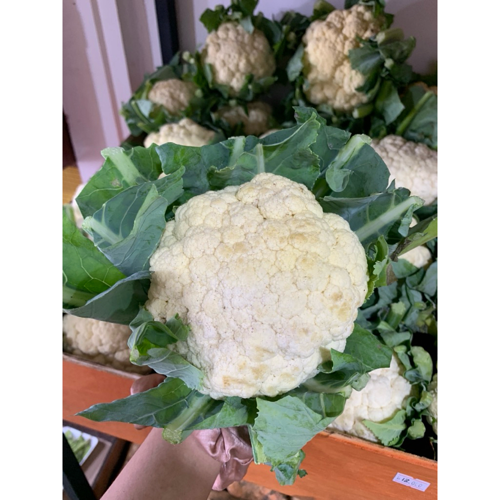 

COD Sayuran Brokoli Putih, Kembang Kol