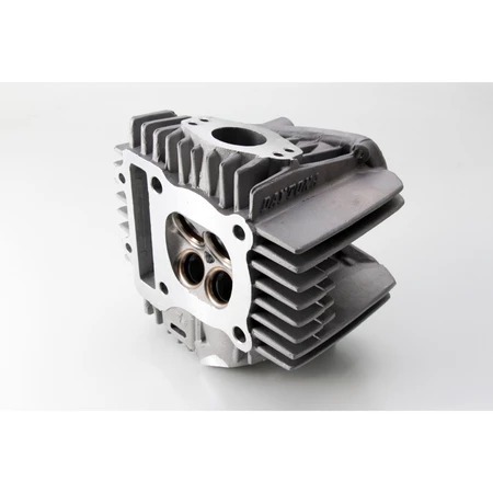 #5270 HEAD, CYLINDER DAYTONA ANIMA