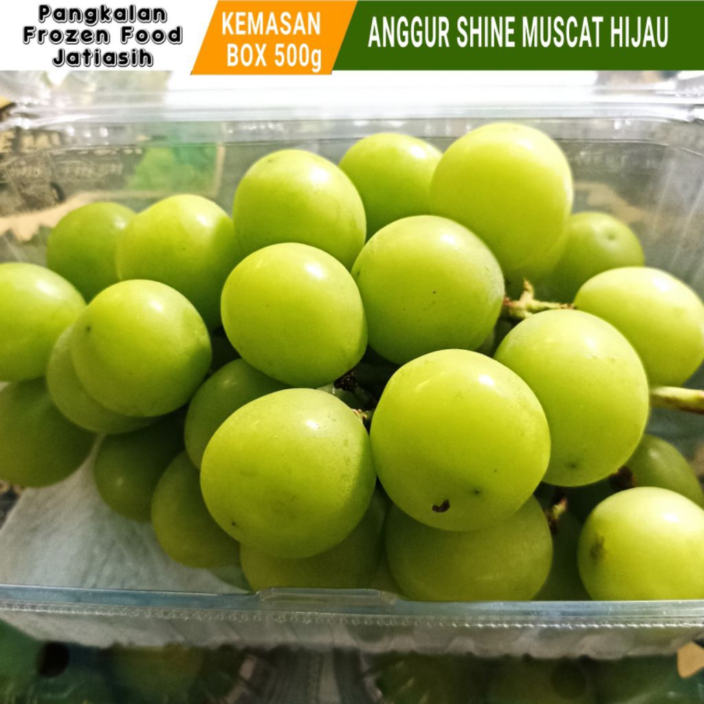 

Buah Anggur I Shine Muscat Hijau I Anggur Manis I Kemasan Box 500g