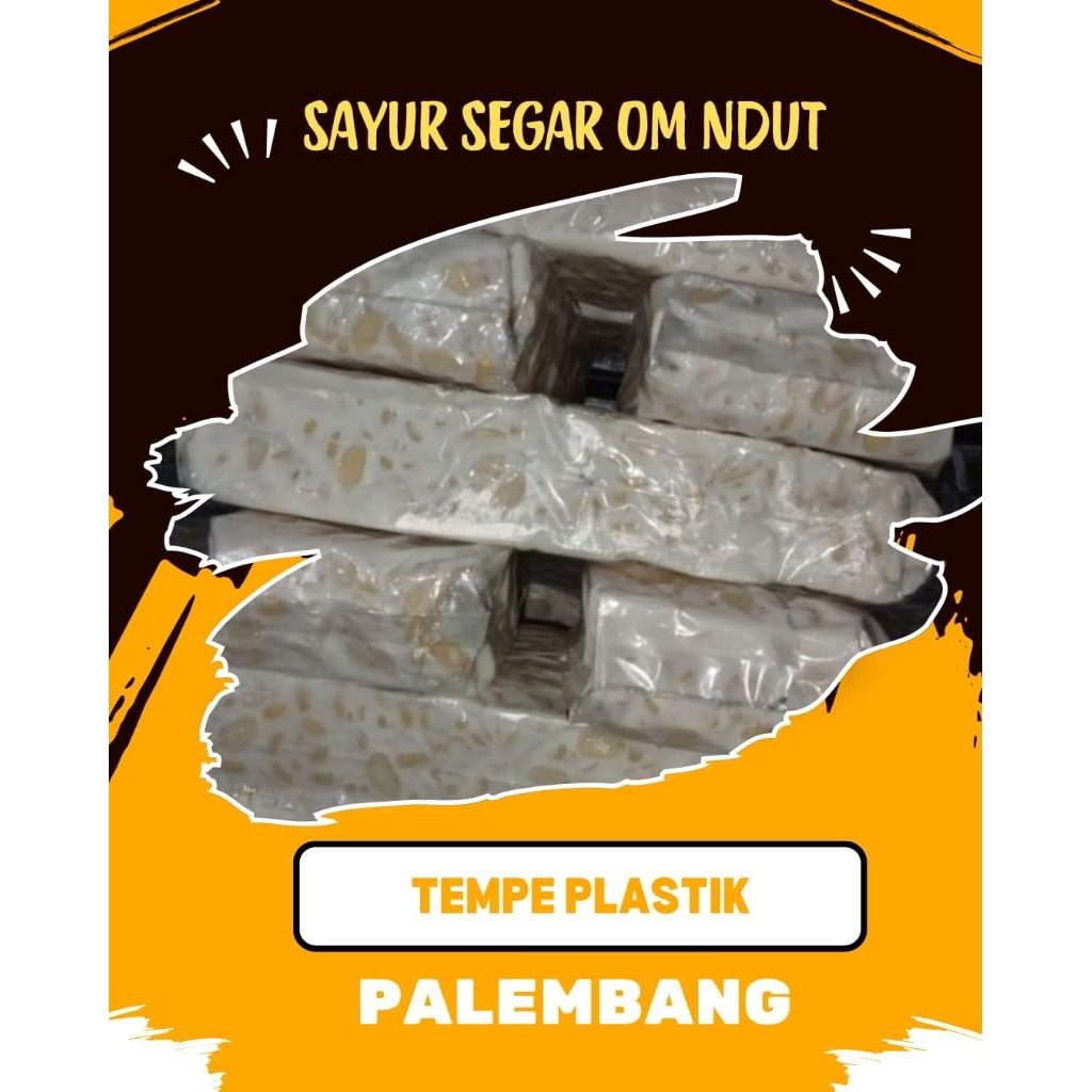 

TEMPE PLASTIK - INSTAN PALEMBANG