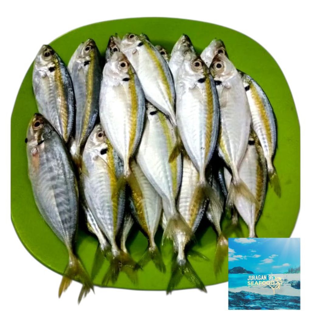 

Ikan selar segar 1 kg