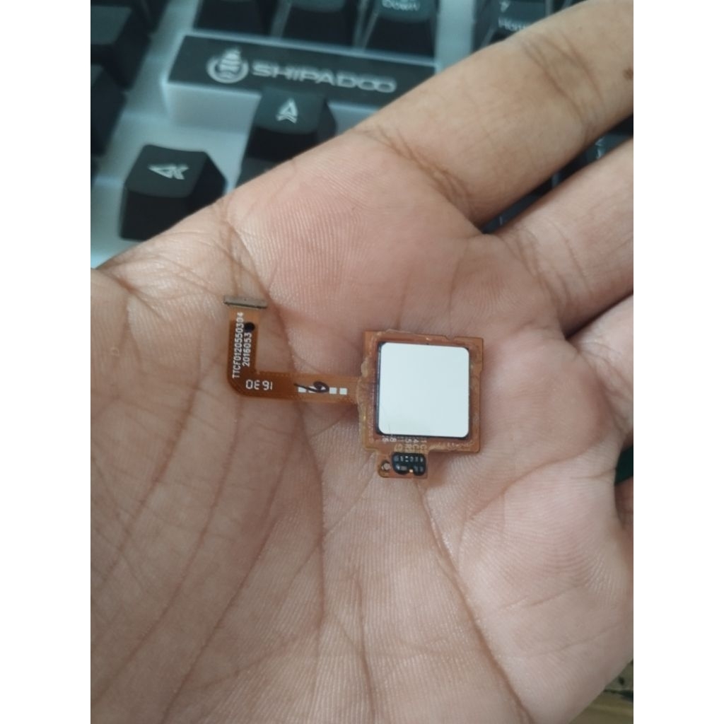 FINGERPRINT COOLPAD R116 COPOTAN