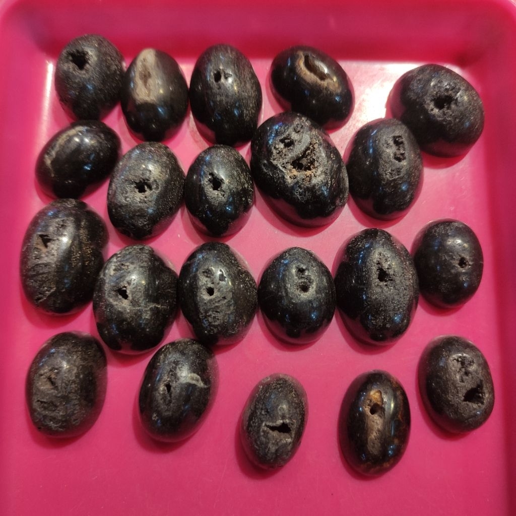 Batu akik galih kelor Combong alas baluran 100% garansi natural asli alam