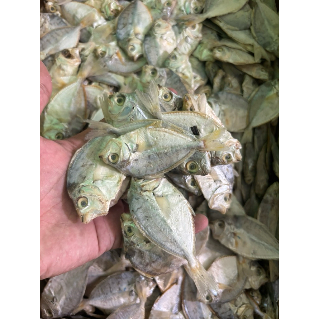 

Ikan Asin Petek Besar Kering Murah 500gr