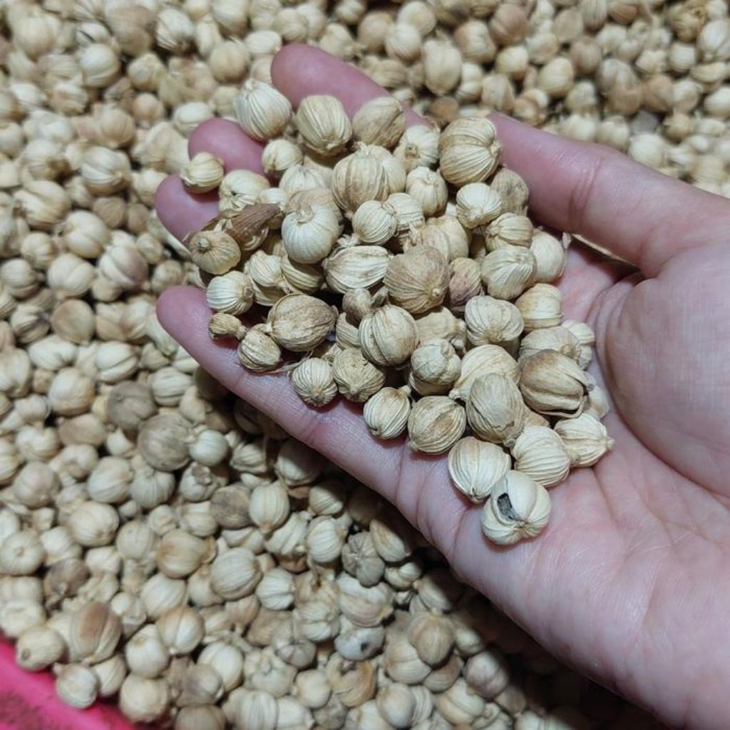 

Kapulaga kering organik 100% asli Jawa 500g