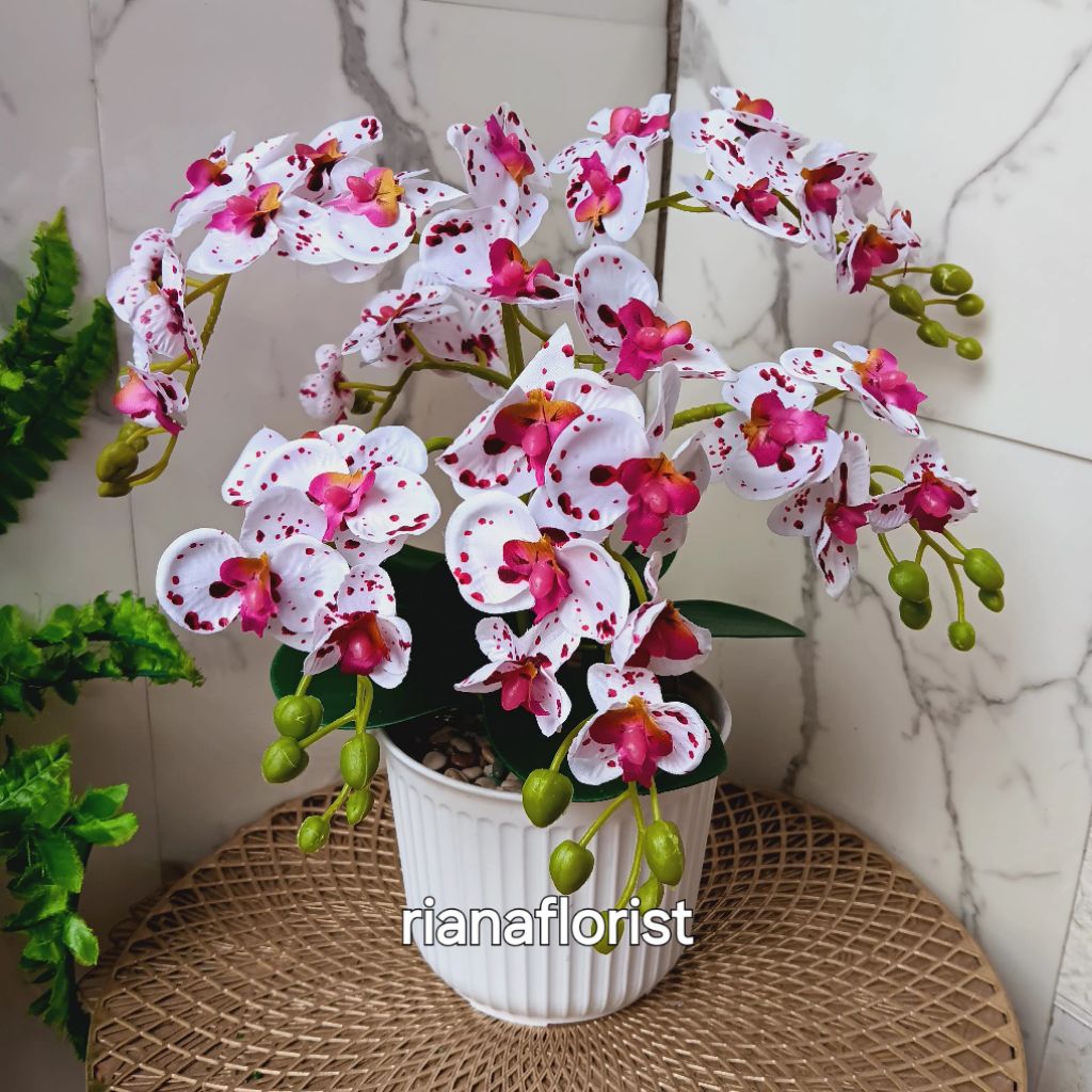 ANGGREK 6 TANGKAI VAS GARIS PLASTIK ARTIFICIAL