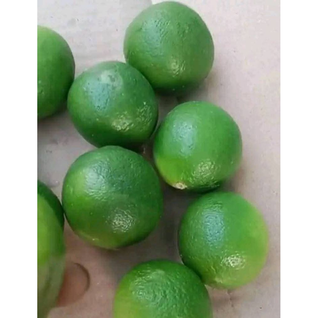 

JERUK NIPIS SEGAR KEMASAN 1KG