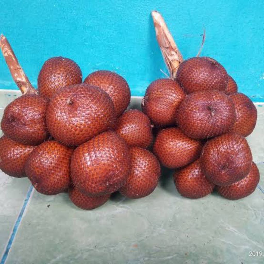 

Buah salak ori per butir