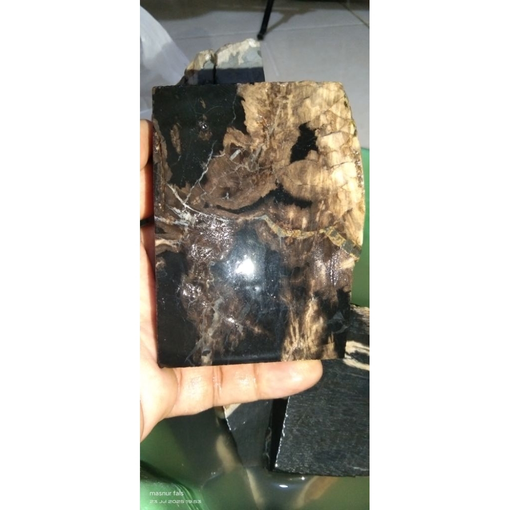 Batu fosil galih kelor super serat perak asli bisa menyala tespen