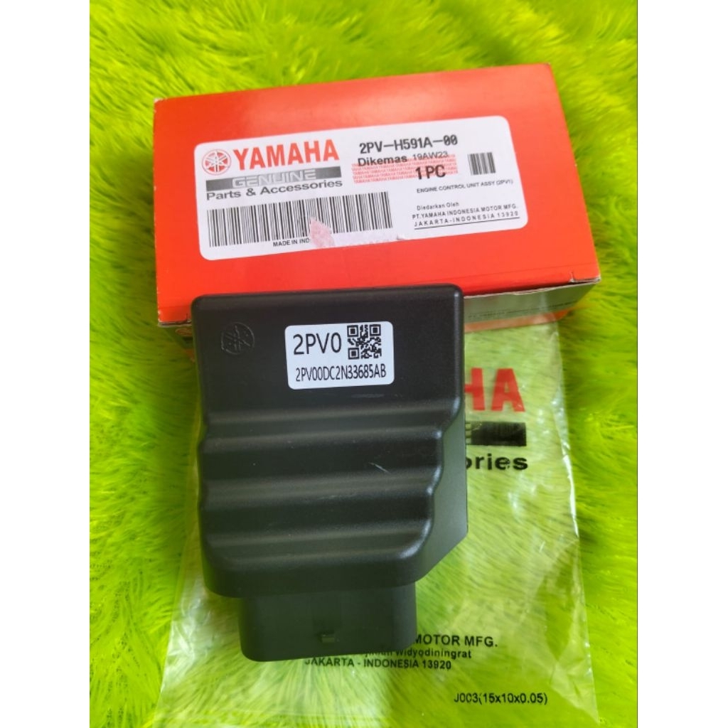 ECU CDI ECM YAMAHA MX KING 135 (2PV0)
