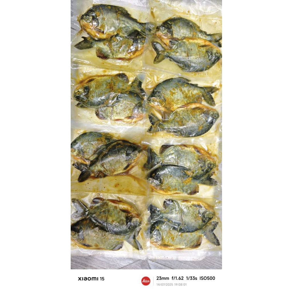 

Bawal marinasi / lauk simple / ikan bawal / tinggal goreng