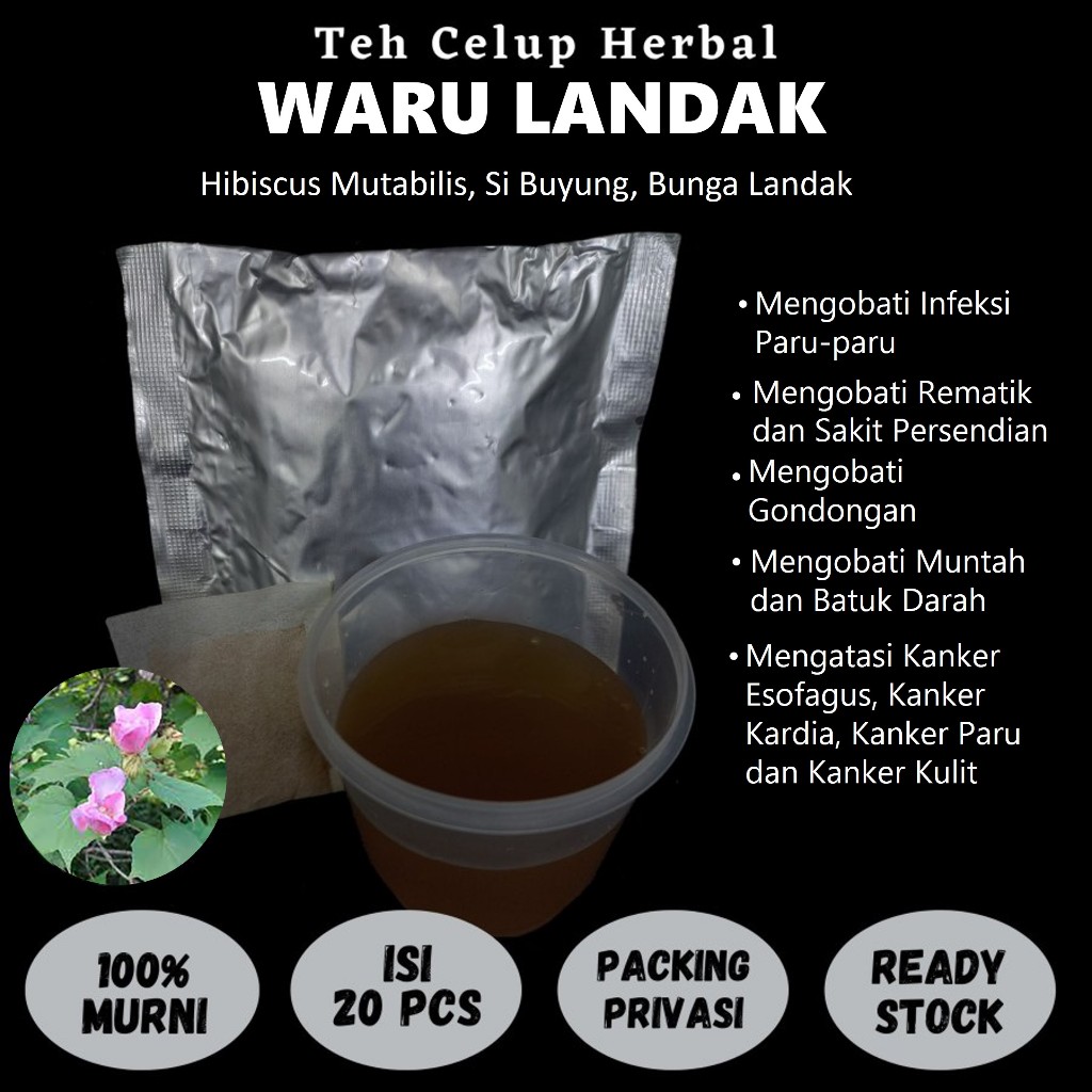 

Teh Celup Herbal WARU LANDAK Mengobati Radang Pendarahan Rematik Sakit Persendian Gondongan Bisul