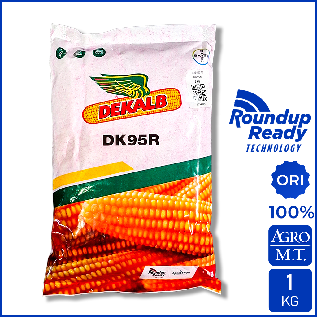Benih Jagung Hibrida DEKALB DK95R (1KG) Tahan Roundup - BAYER