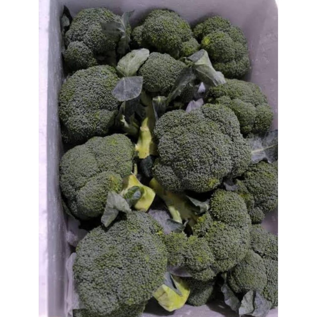 

Sayur brokoli lokal fresh 1 kg