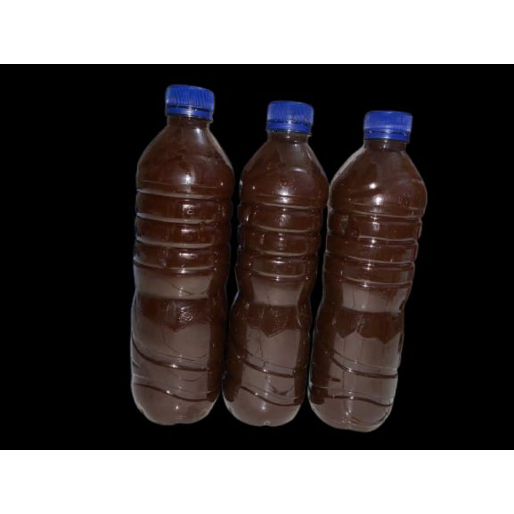 

ekstrak ketapang progres (white spot)