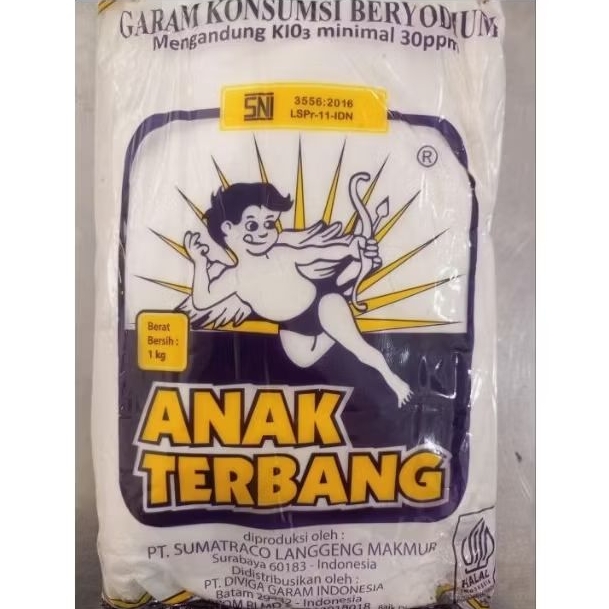 

Anak Terbang Garam Beryodium