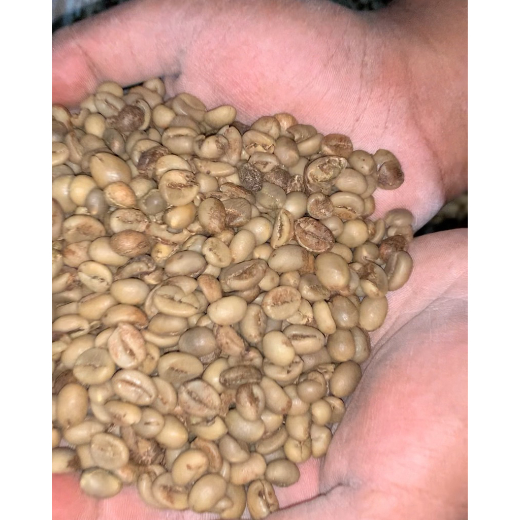

Green Bean (Biji kopi mentah) Robusta
