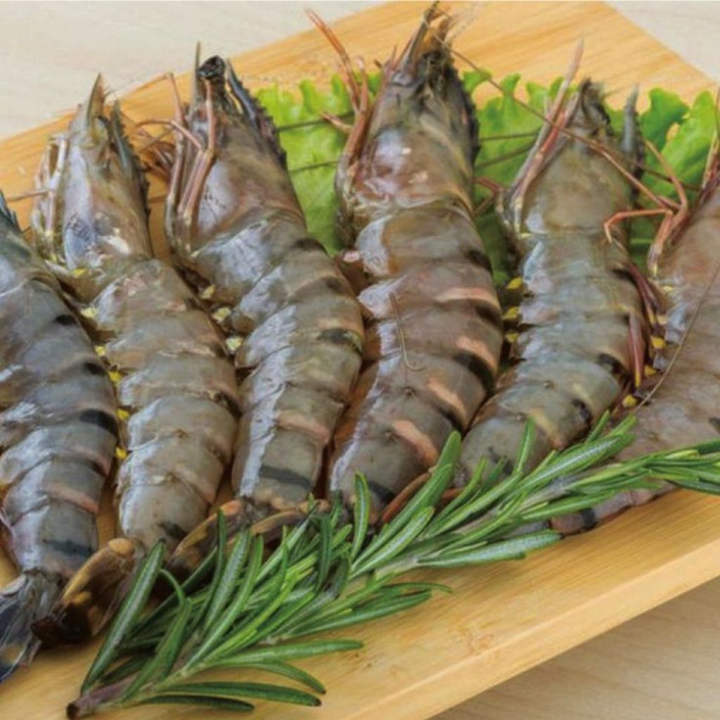 

MUARA FRESH Udang Tiger 1Kg Udang Windu Fresh Udang Pancet black tiger shrimp 1Kg Fresh