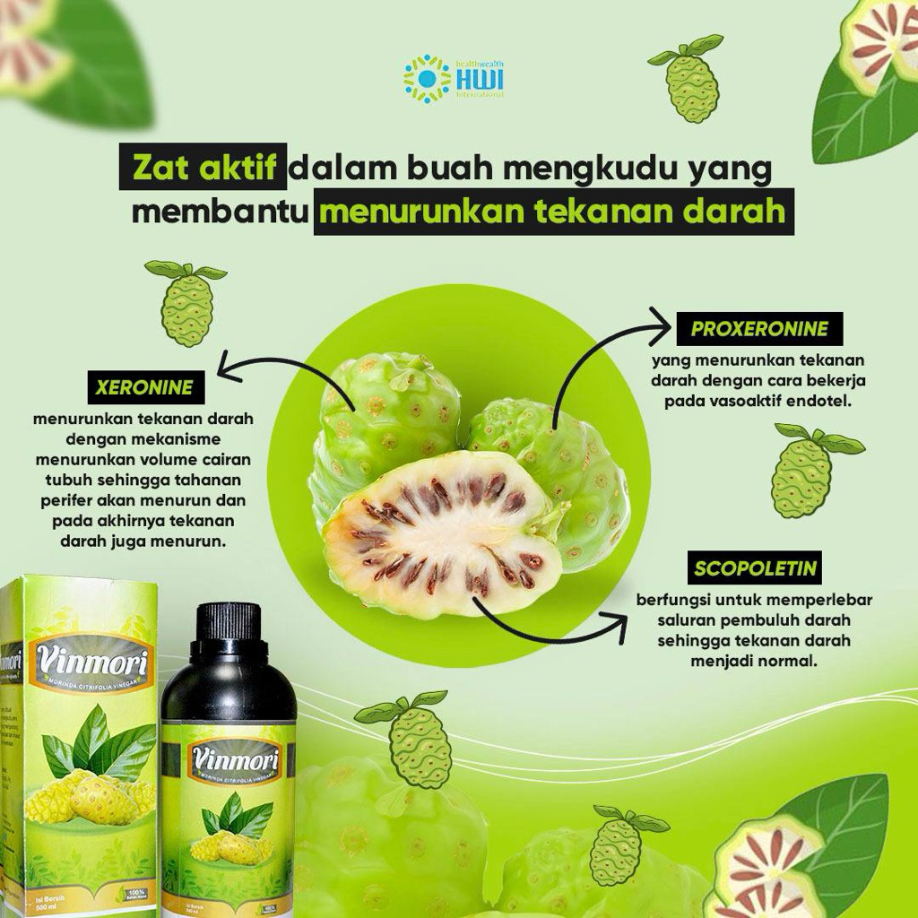 

VINMORI CUKA MENGKUDU