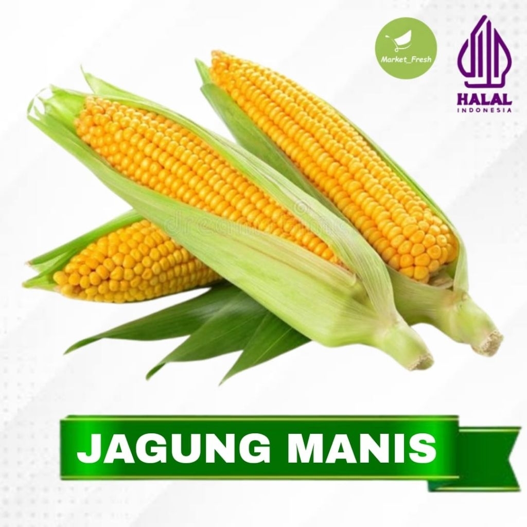 

Jagung Manis Mentah Fresh 1 Kg Asli Tegal