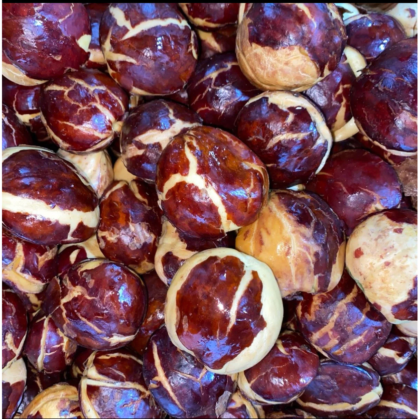 

JENGKOL/JERING/JENGKI/TUA SUPER MENTAH