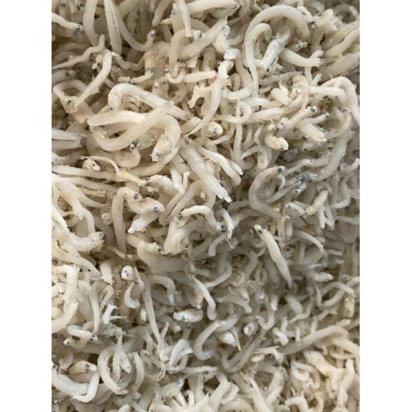 

TERI MEDAN / teri putih / ikan teri medan / ikan teri / teri kecil / teri kecil medan / teri enak / teri sumatera / teri putih medan