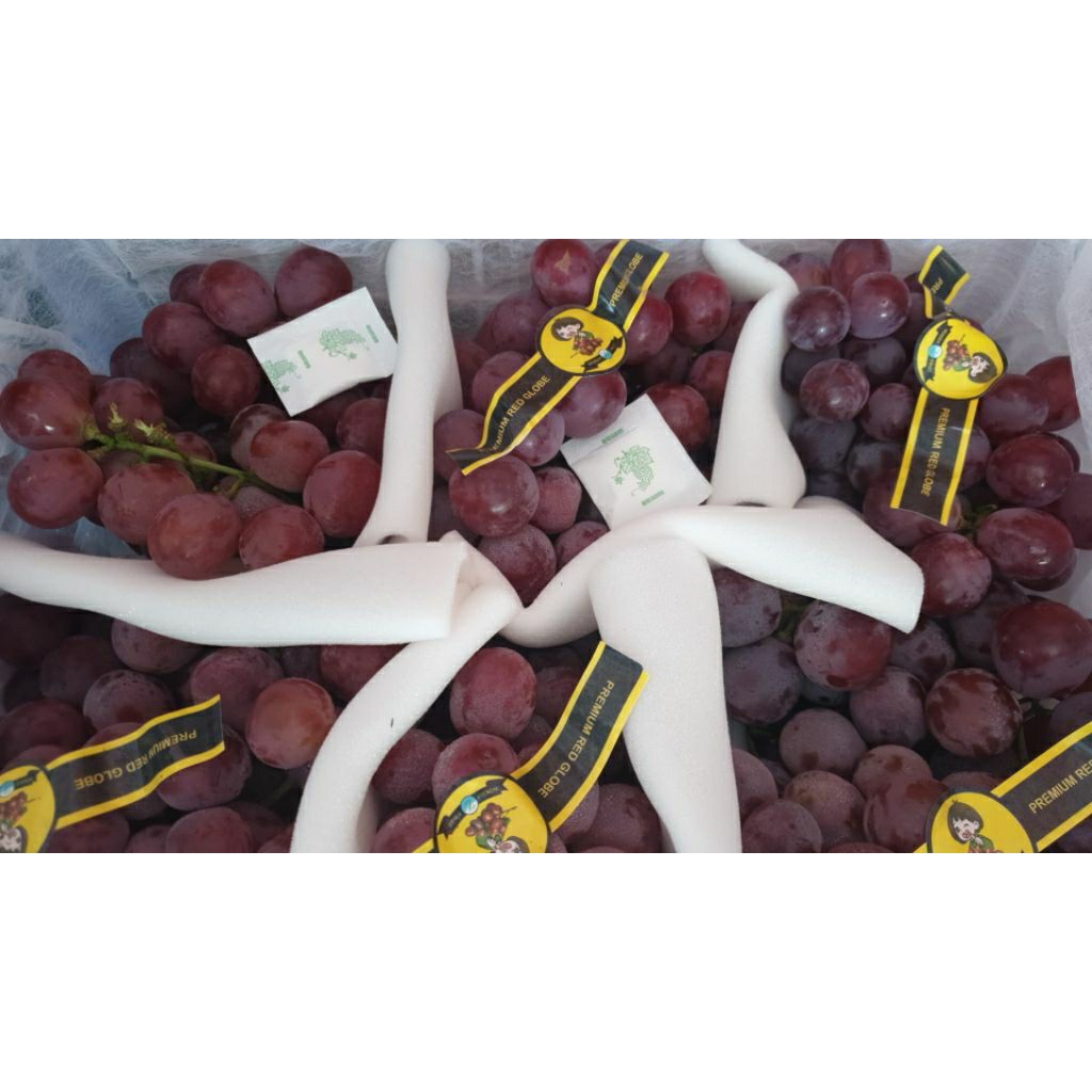 

Anggur Merah Premium