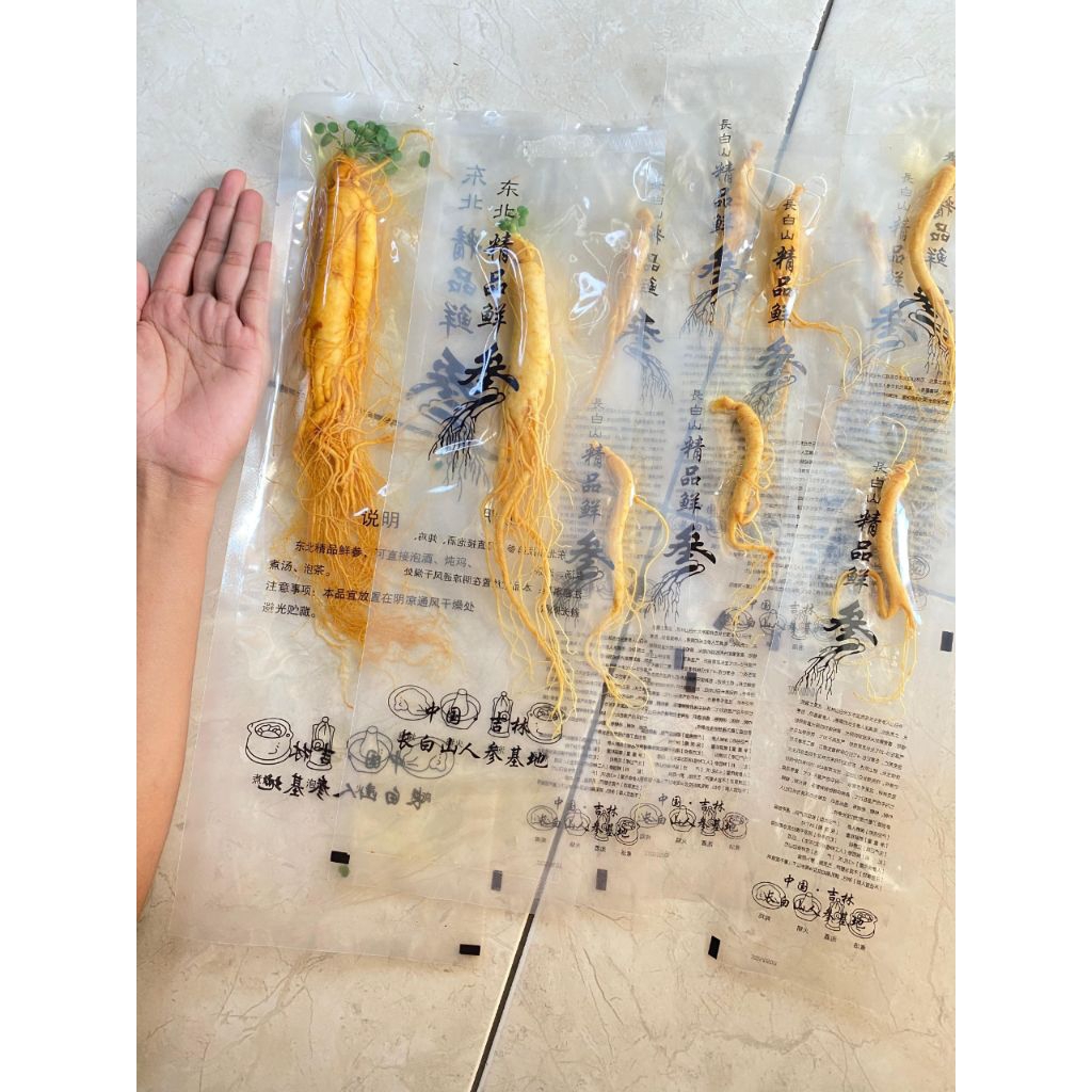 

Ginseng import Korea Original dari Changbai , Jaminan Fresh/segar dan Terjamin Kualitas