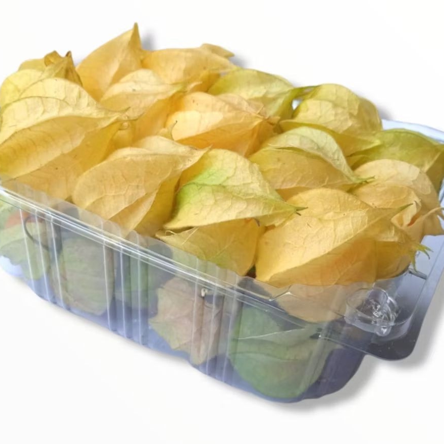 

5 ONS BUAH CIPLUKAN/CECENDET/ CEPLOKAN GARANSI KIRIM RUSAK KAMI GANTI