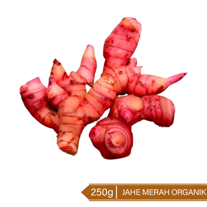 

Jahe Merah Organik / Organic Red Ginger 250g