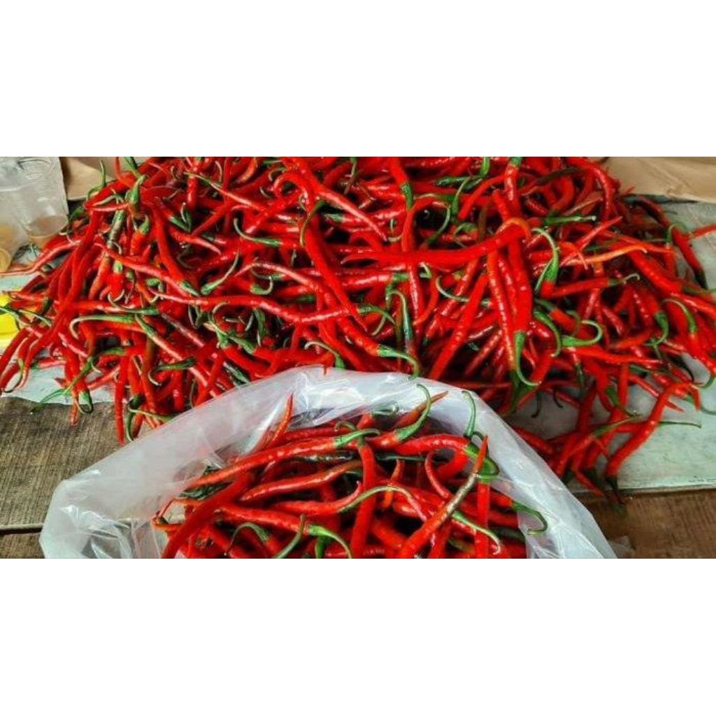 

3 kg cabai merah