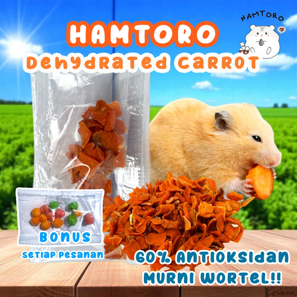 Dehydrated Carrot Strips Snack Hamster/Kelinci Wortel Kering
